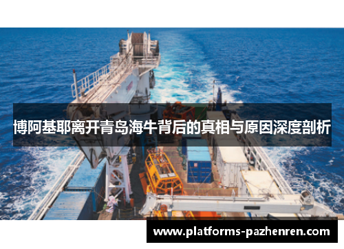 博阿基耶离开青岛海牛背后的真相与原因深度剖析