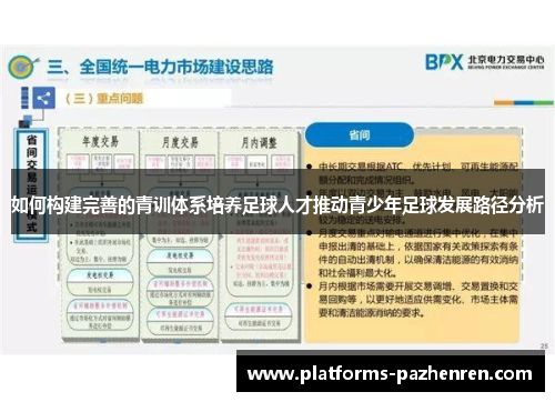 如何构建完善的青训体系培养足球人才推动青少年足球发展路径分析