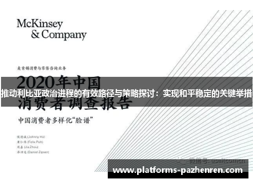 推动利比亚政治进程的有效路径与策略探讨：实现和平稳定的关键举措