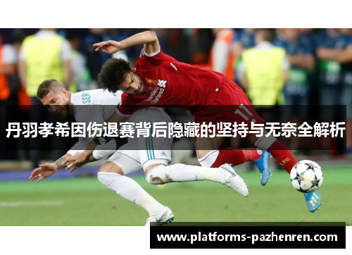 丹羽孝希因伤退赛背后隐藏的坚持与无奈全解析