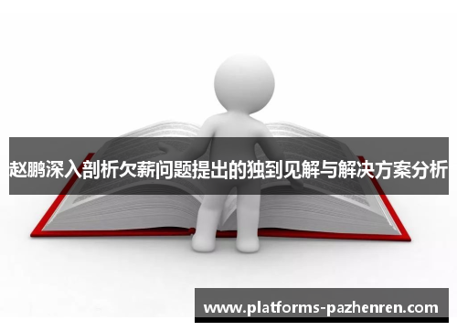 赵鹏深入剖析欠薪问题提出的独到见解与解决方案分析