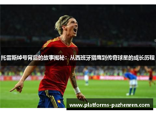 托雷斯绰号背后的故事揭秘：从西班牙猎鹰到传奇球星的成长历程