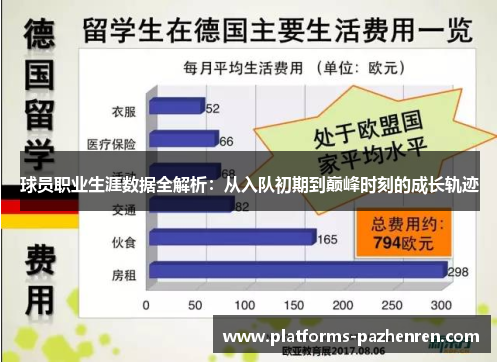 球员职业生涯数据全解析：从入队初期到巅峰时刻的成长轨迹
