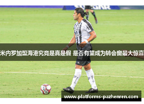 米内罗加盟海港究竟是真是假 是否有望成为转会窗最大惊喜